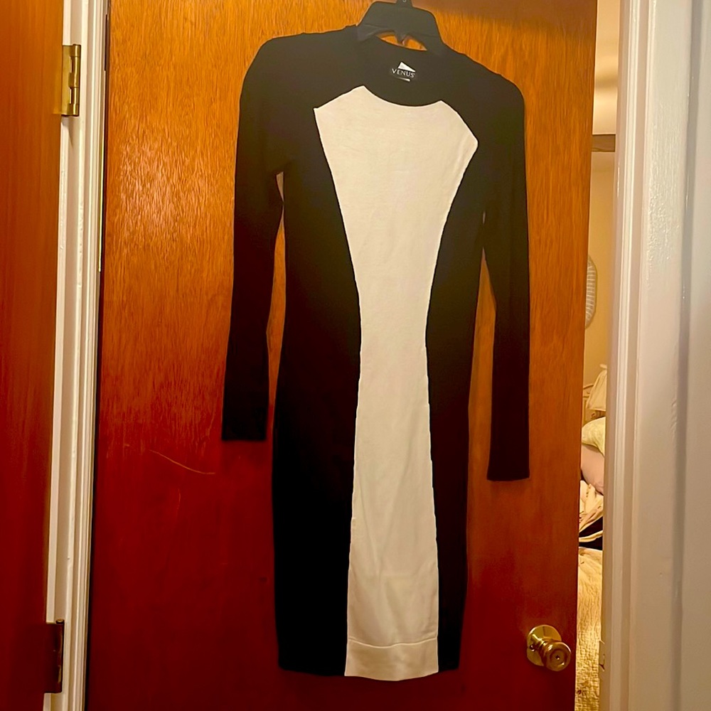 Venus sweater dress